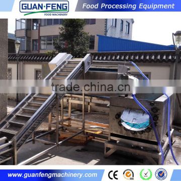 small scale frozen french fries production line