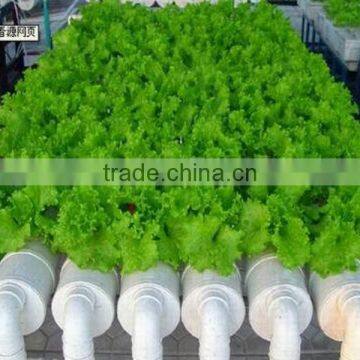 HDPE LDPE Irrigation Pipe photo-5