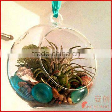 Acrylic Hanging Terrarium TE01 photo-2