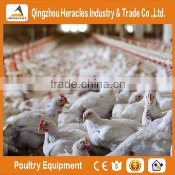 ISO9001 Qualified HERACLES Poultry Equipment Broiler Chicken Feeder /automatic Dosatron Nipple Drinker for Sale