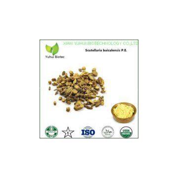 baicalin,baicalin 95%,baicalin extract,baicalin powder,baicalin extract powder