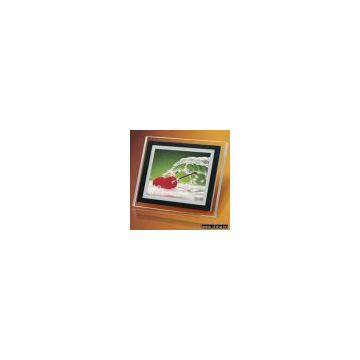 Sell Digital Photo Frame, 10.4'' DR-301