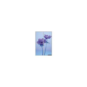 Wardrobe Color Painting Door Panel(ZH-A005) (clothes wardrobe/cabinet, living room furniture, UV panel, bedroom furniture)