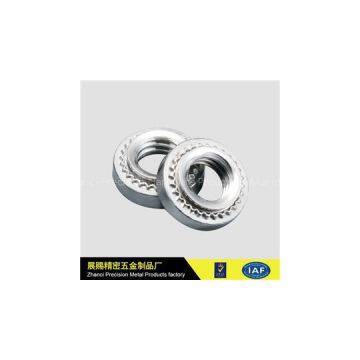 Stainless Steel Screws