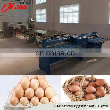 Duck Egg Classifier| Egg Sorting Price|Automatic Weighing Egg Grader With Best Price photo-3