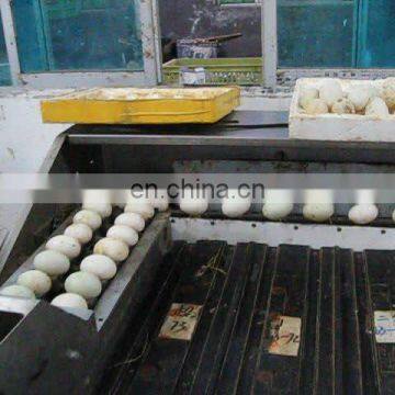 factory price egg grading and packing machine egg grader and sorter with stainless steel material