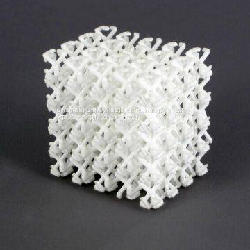 High Strength High Toughness Auto Nylon Part EOS Nylon 3D Printer PA2200 3D Printing Nylon Prototyping