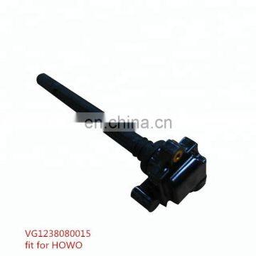 Skillful manufacture Ignition Coil VG1238080015