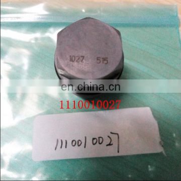 pressure limiting valve 1110010027