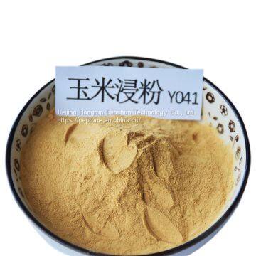 Maize Extract Powder