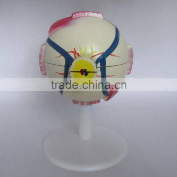High Quality Eye Model