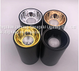 LED Spotlight 3-20W COB With the Series