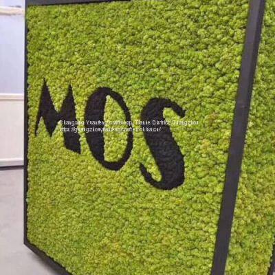 Factory Direct Sale living moss green wall panel preserved