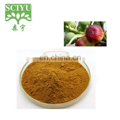 Sciyu supply fruit powder fig powder