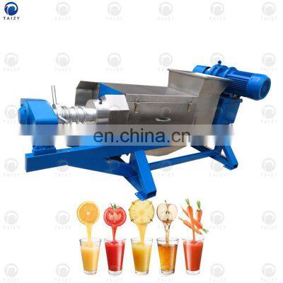 Celery Apple Juice Extractor Machine Clod Press Juicer Machine