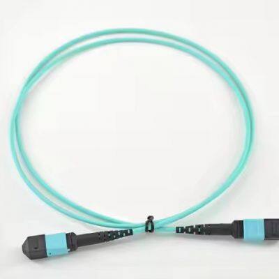 Direct Factory Price OM1 OM2 OM3 OM4 OM5 12cores MPO-MTP Male/Female Trunk Cable photo-4