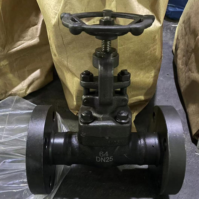 ANSI Forged Steel A105 Hard Seal Gate Valve Flange Socket Welded Manual 150LB/300LB High Pressure Gate Valve photo-6