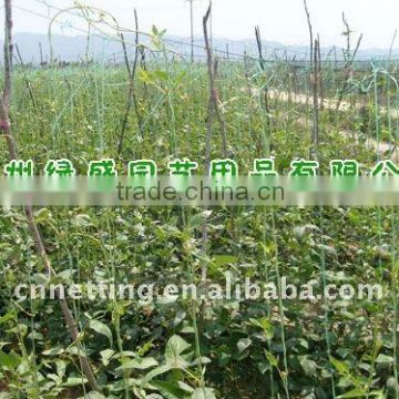 100% virgin material Plastic trellis net plant climbing support netting cucumber netting vine netting Pea & Bean netting