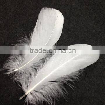 wholesale white goose feather for sale cheap