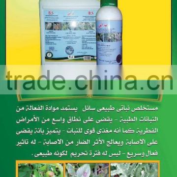 The needs of growing grapes and strawberries, tomatoes, onions and mango natural fertilizers and pesticides Egypt