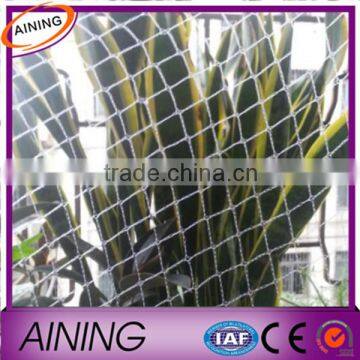 Plastic Anti Bird Net/Capture Bird Net/Agriculture Bird Net