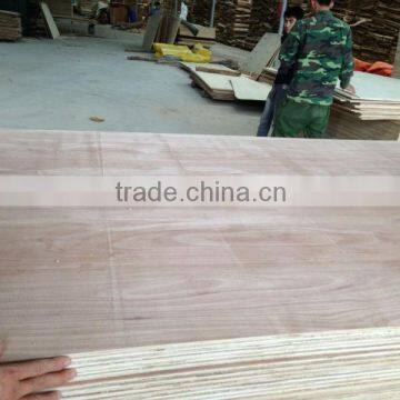 Sapele Plywood