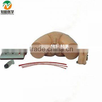 Medical Electronic Urethral Catheterization and Enema Model BIX-H1D