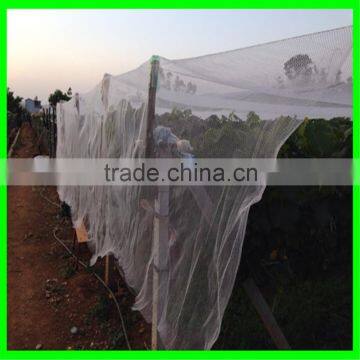 HDPE Hail Netting Anti Hail Netting Plastic Anti-hail Nets photo-6