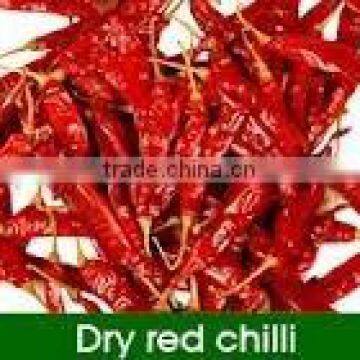 334-Guntur dry chilli