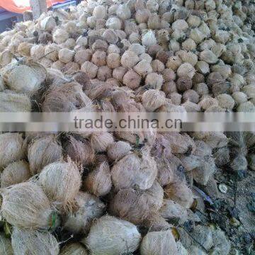 Dried coconut