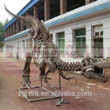 2014 Dinosaur Skeleton Fossil replica