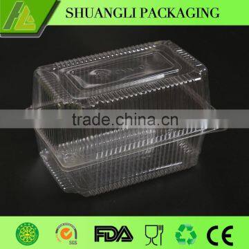 blister process plastic container