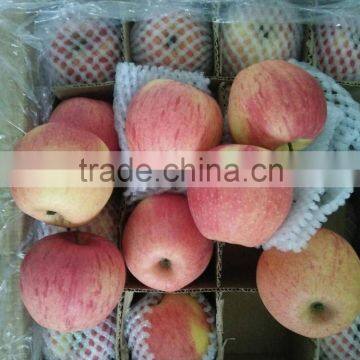 Unbagged Qinguan Apples photo-2