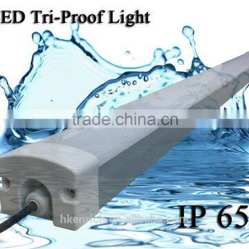 SMD2835 1500mm 50W led tri-proof lamp for Metro station