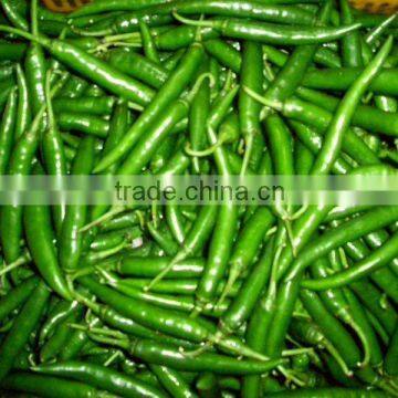 FRESH GREEN CHILI