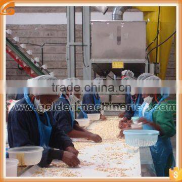 Stainless Steel Whole Peanut Blancher Peanut Blanching Machine Dry Peanut Blancher