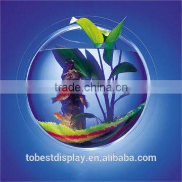 Marine Hanging Clear Storage Round Acrylic Aquarium/acrylic Water Tank/acrylic Aquarium Tank Manufacturers photo-2