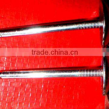 thickness 3.4mm best quanlity Galvanized Roofing Nails