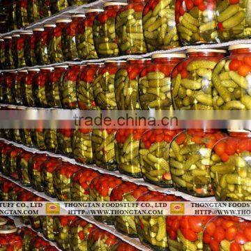 Pickled Cucumber and Tomato in square jars 1500ml - Special