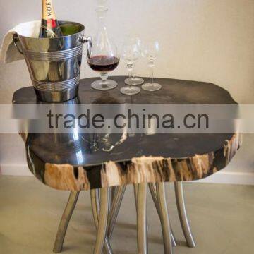 Petrified wood side table