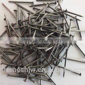 Black Color Bright Common Wire Nail in 1kg