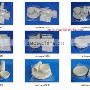 biodegradable disposable bioplastic and corn starch tableware