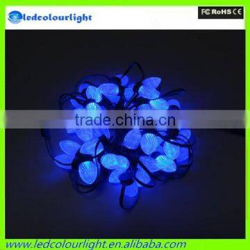 Promotion RGB Led Christmas String Lights Color Changing Led Christmas Lights