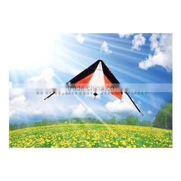 Dual Line Delta Stunt Kites - Straight Edge Kites