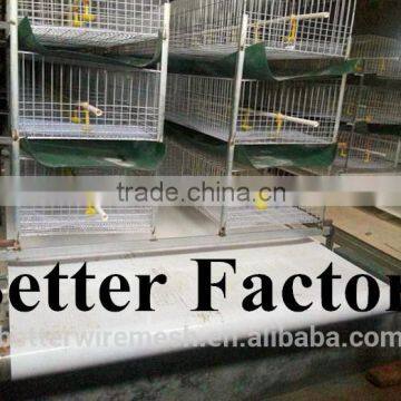 BT Factory hot-sale H type battery broiler chicken cages for kenya(Factory price)