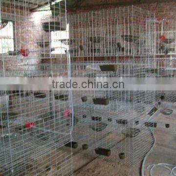 galvanized cage wire mesh/Pigeon cage /bird cage