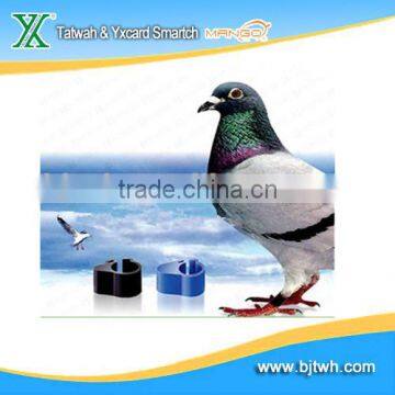 RFID Animal Tag For Animal Identification And Tracking Animal Source