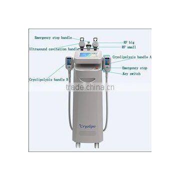 Reduce Cellulite 2015 Hot Sell Cryolipolysis Fat Removal/weight Loss/slimming Machine Skin Lifting photo-5