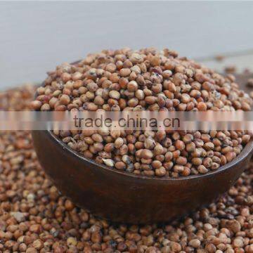 Red Sorghum With High Quality And Cooperate Price From China