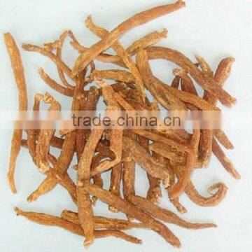 red ginseng dry root changbai korea ginseng price